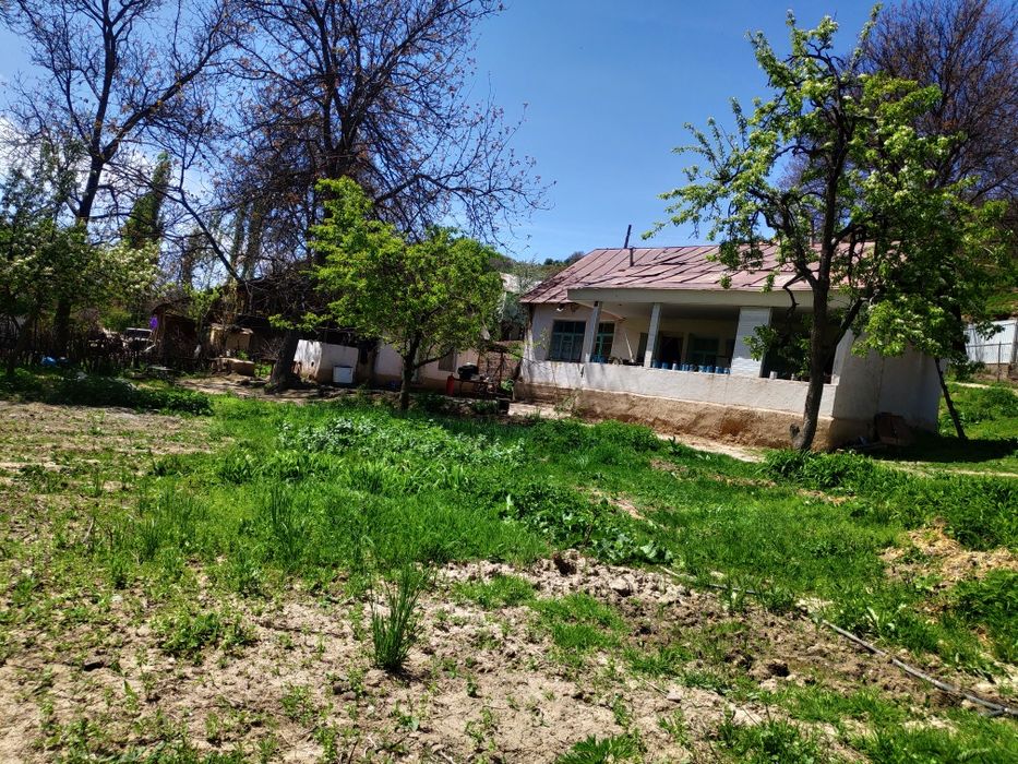 Uchastka sotiladi, Nefrit ko'liga yaqin joyda joylashgan