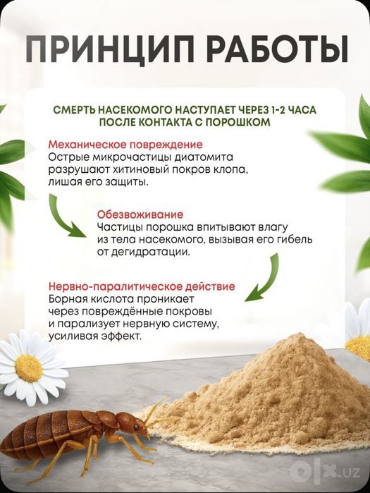 Эко Абсолют профессиональное средство