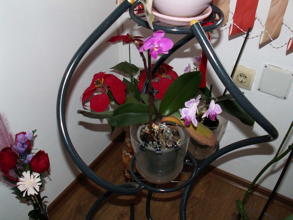 Konica Minolta DiMAGE Z3  - комплект