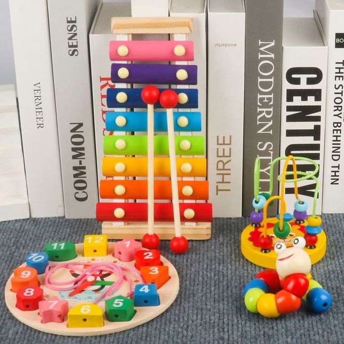 Развивающая Игрушка  3+