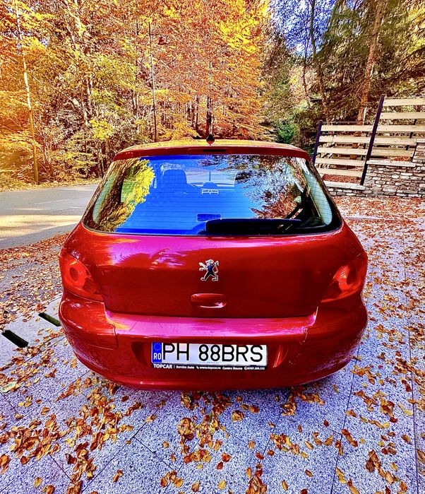 Vand Peugeot 307 1,6 HDI