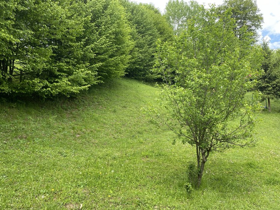 Teren de vanzare Valea Doftanei