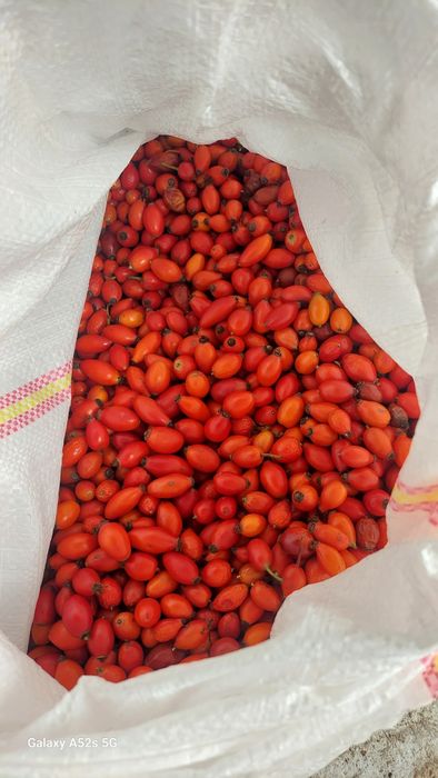 Maciese de vinzare disponibil doar pe comanda negociabil