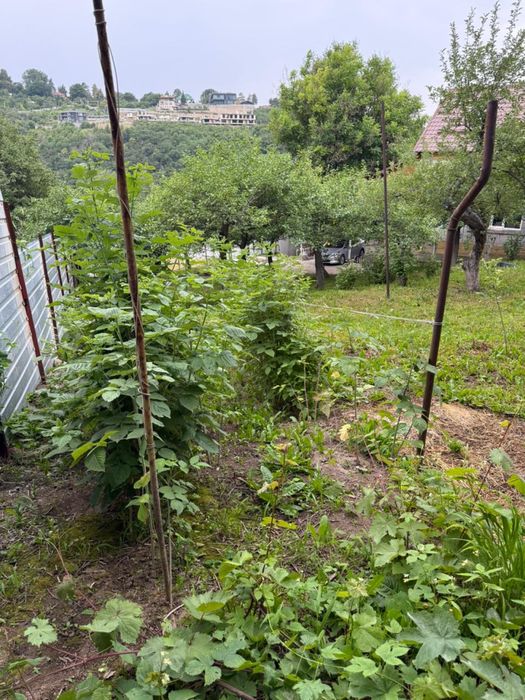 Продам дом с участком 12 соток