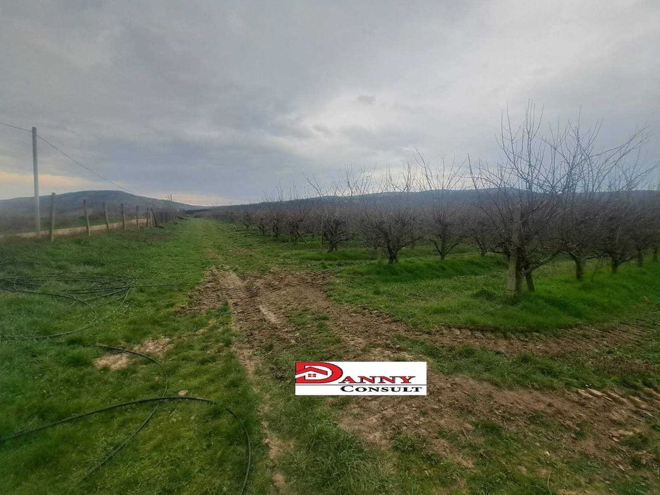 Продава се Земеделски имот в Велико Търново, Акация -  кв.м за 1836 €/дка - Снимка #7