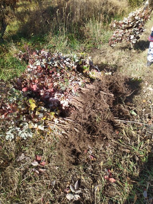 Продам Землю кха