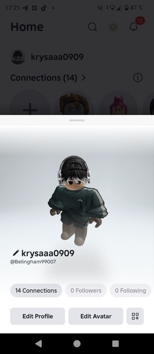 Продаю акк роблокс есть скин на крысу ещё и есть пртватка на укради бр