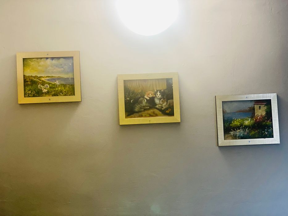 Продава се Тристаен апартамент в Варна, Зимно кино Тракия - 67 кв.м за 2165 €/кв.м - Снимка #10