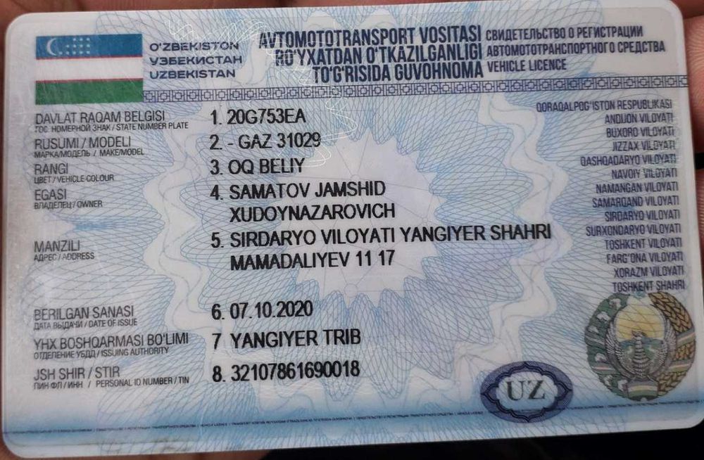 Volga 31029 yuk pikap