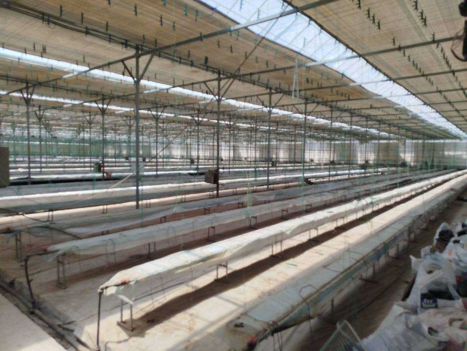 ISSIQXONA (4 GEKTAR) IJARAGA\Теплица 4 га в аренду