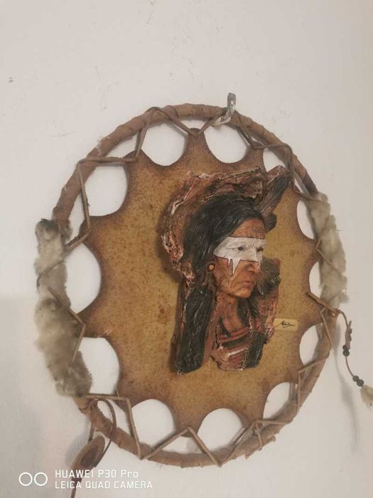 Tablou/Trofeu miniatura Bizon