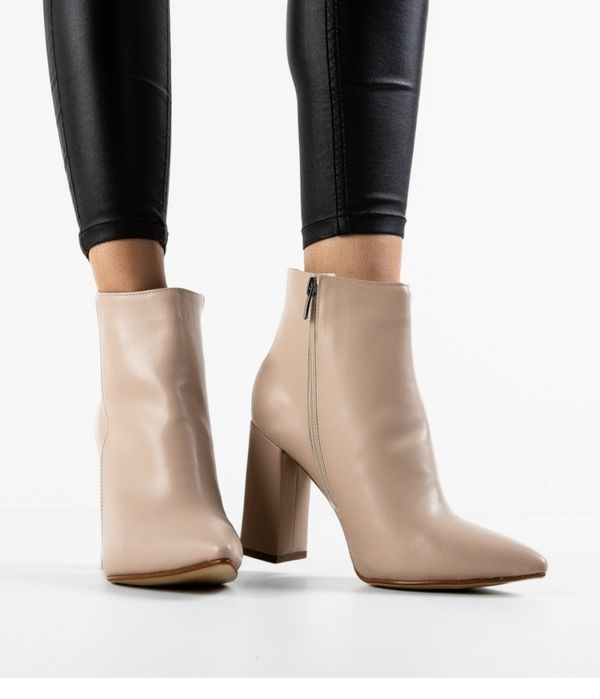 Боти номер 36-ти