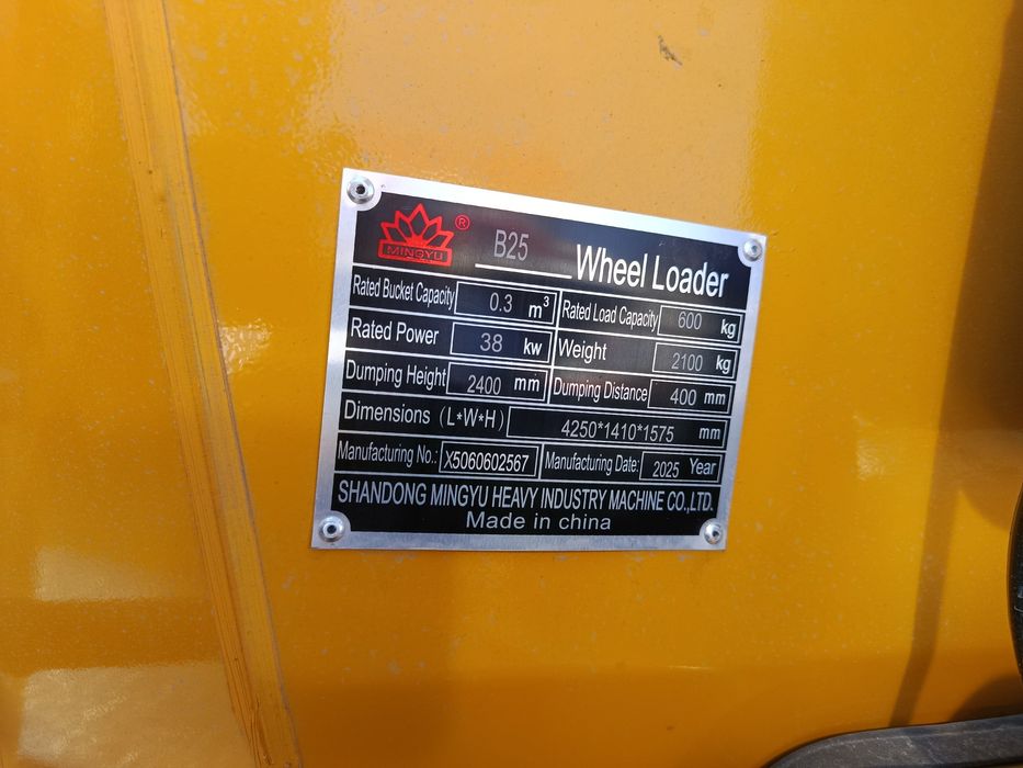 Mingyu Brenddan mini pagruzchik