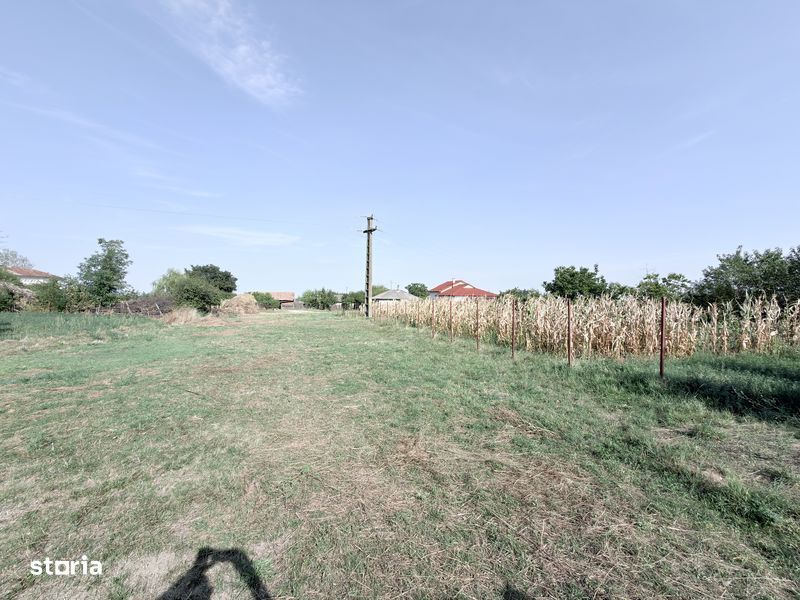 1280mp teren intravilan la Cucorani