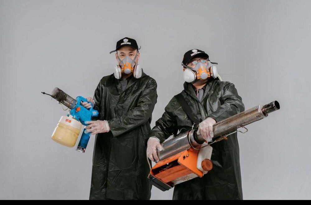 Клоптар, тарақандар, егеуқұйрықтар – кәсіби жою кепілдігімен Dez Profi