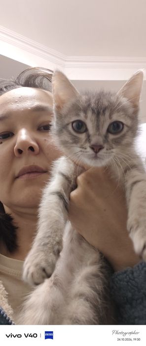 Милая котенок девочка
