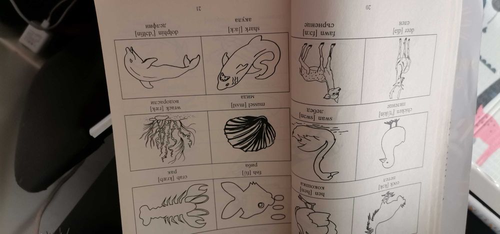 Учебно помагало по Английски за Начинаещиезик