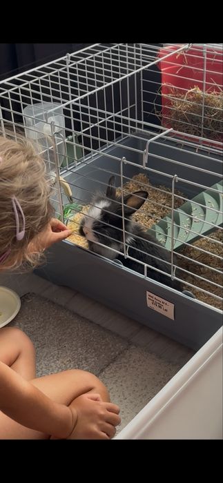 Cusca rozatoare Ronny 80 R