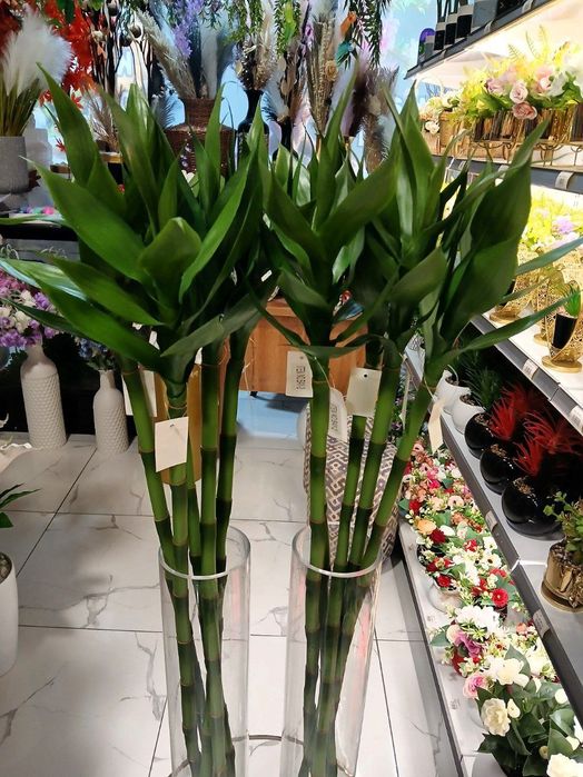 Sun'iy gullar va daraxtlar. Tropik gullar.