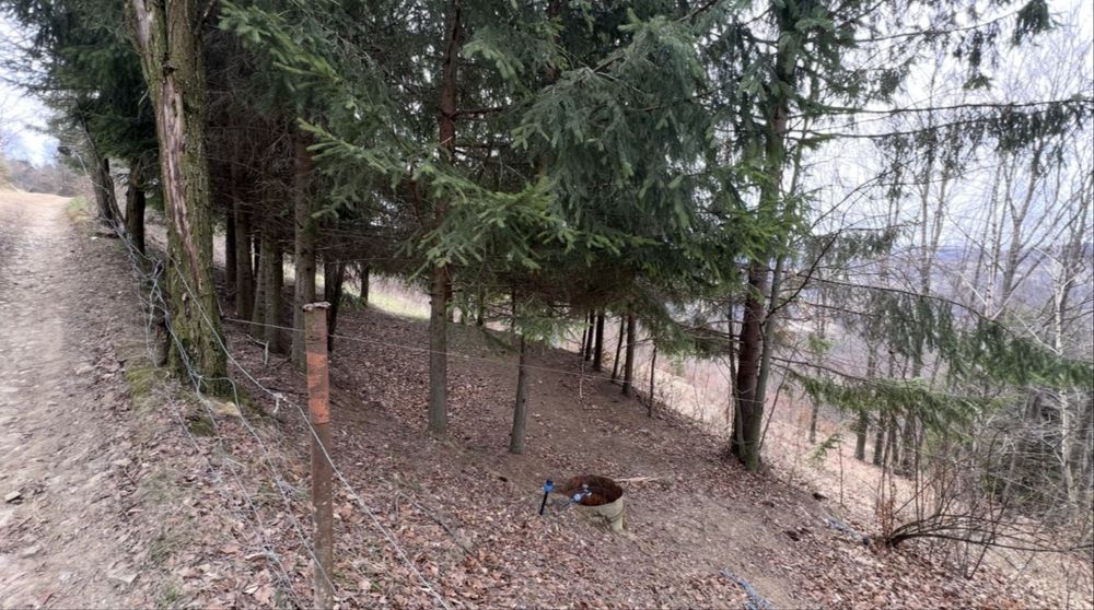 Teren intravilan + casa + cabana + teren Extravilan 1,4Hectare