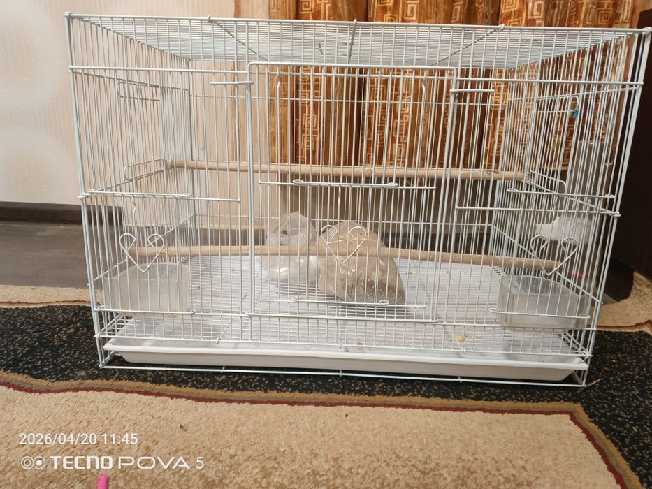 Yeah agility shop cooper storage