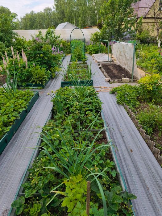 Срочно продам дачу