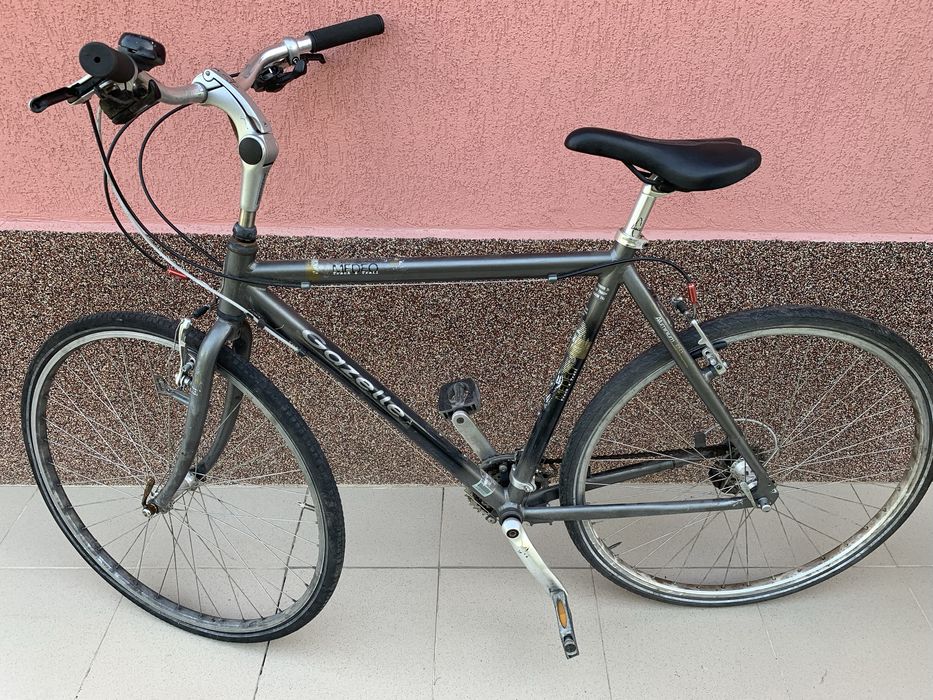 BERGAMONT  28 oras barbati