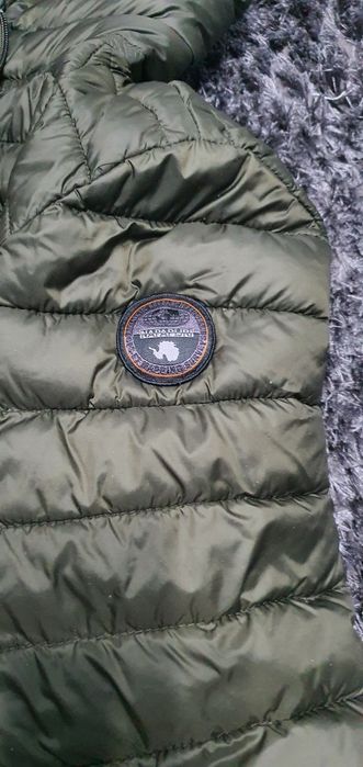 Geagă cu glugă, Napapijri