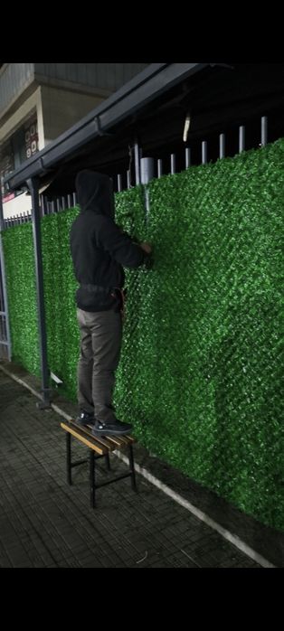 Landshaft dizayn xizmati