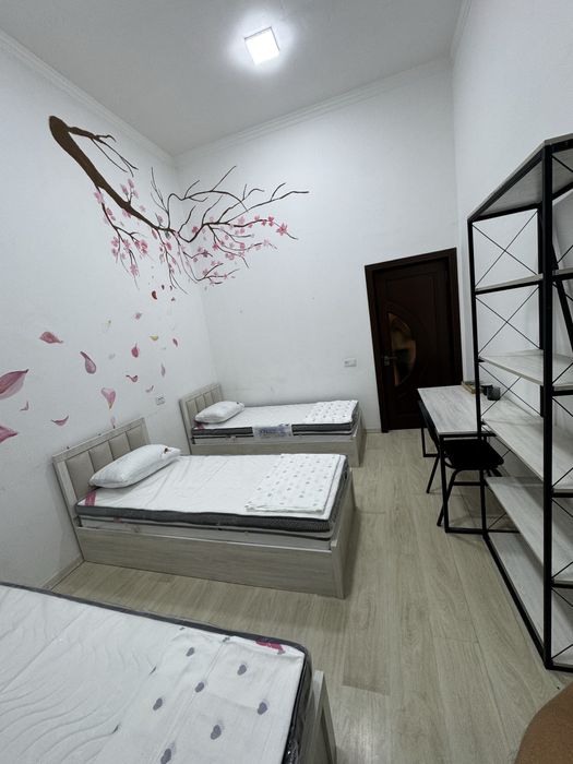 Hostel/Hotel/kunlik hostel/arzon mehmonxona