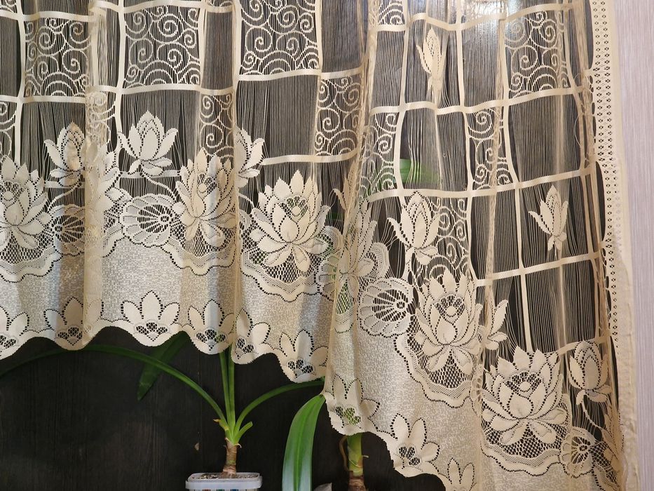 Шторы,  занавески,  тюль