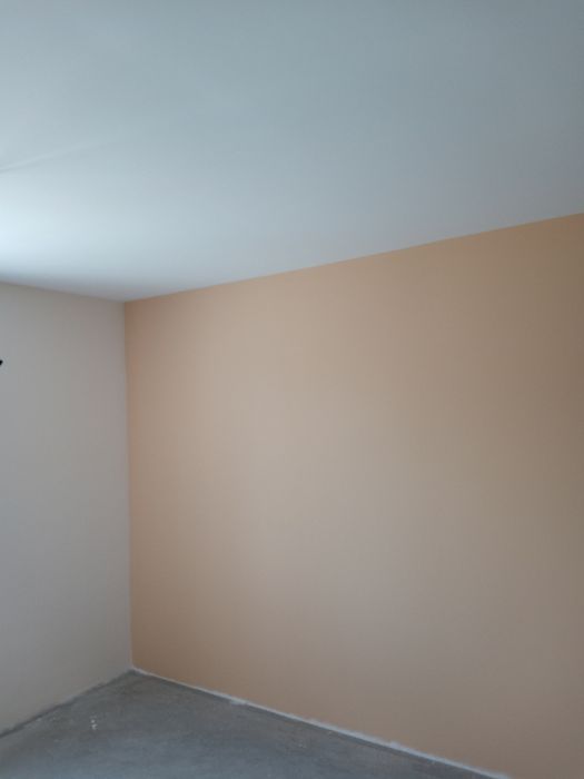 Боядисване , Шпакловане ,Шкурене и грундиране .