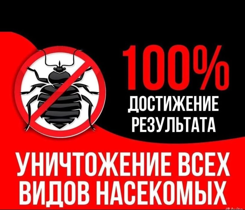 Уничтожение насекомых