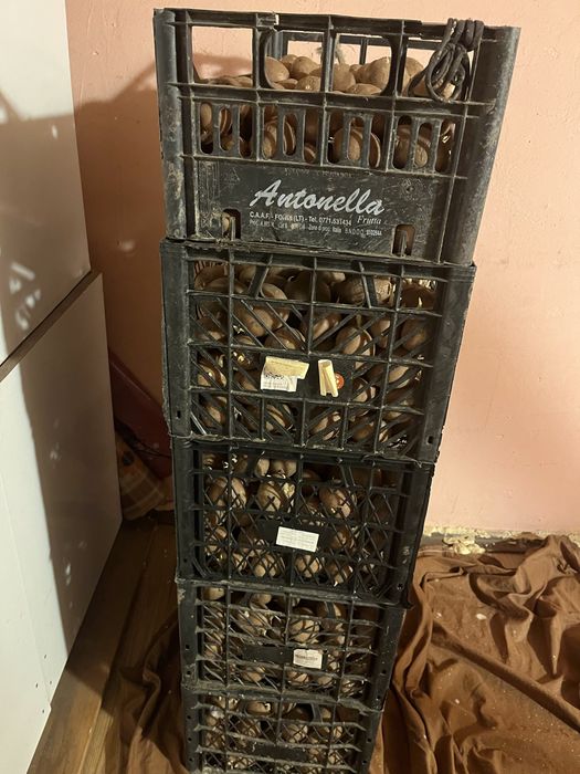 Vand cartofi de samanta