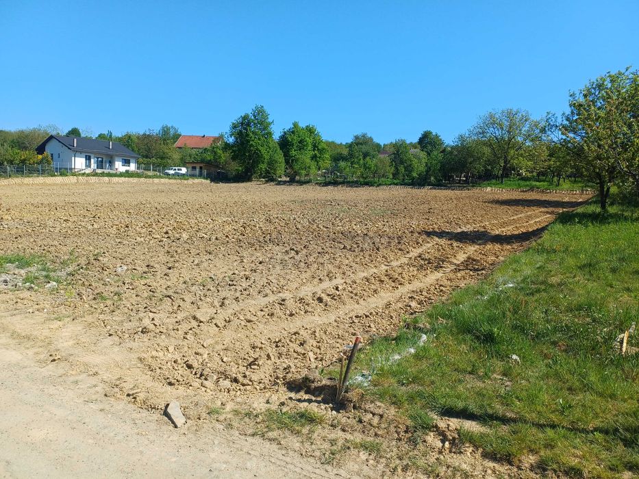 Terenul Perfect Pentru Casa Ta! Parcelă de 7 Ari într-o Zonă Superbă – Baia Sprie, Str. Murelor
