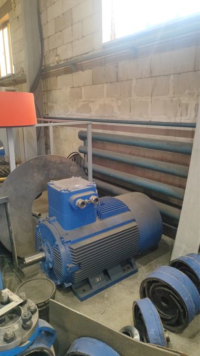 Электродвигатель ВЗИ 250х3000