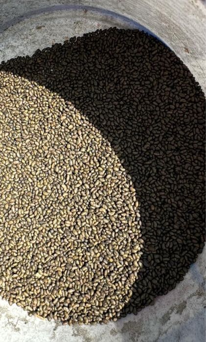 Жонышка тұкымы сатылады. Семена люцерна