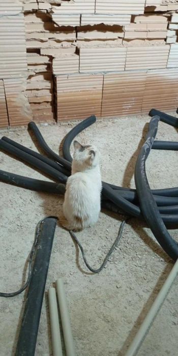 покриви,зидария, топлоизолация,боя,гранитогрес,фаянс, вик, ел