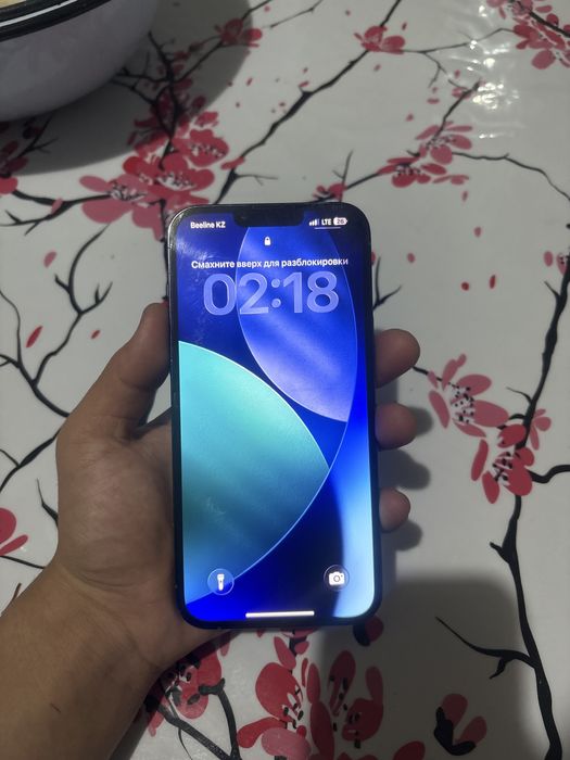 Iphone 13 pro max