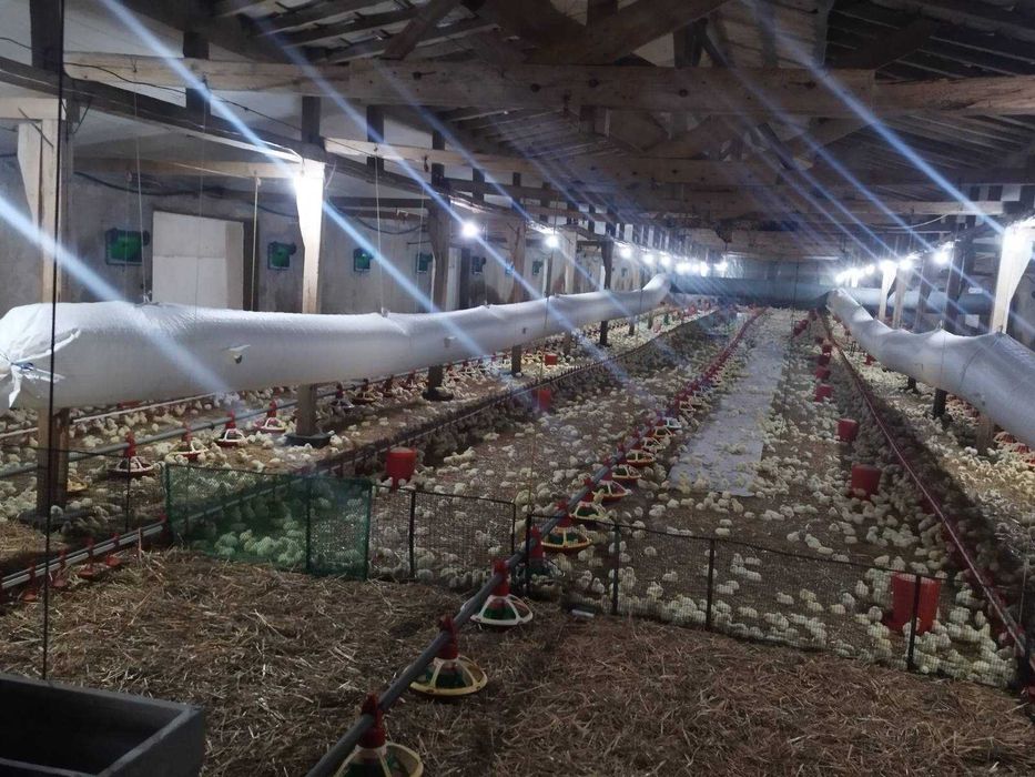 Продава се Склад в Търговище, Въбел - 1216 кв.м за 286 €/кв.м - Снимка #11