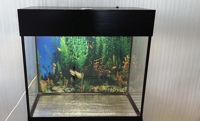 Аквариум 80 литров с рыбами