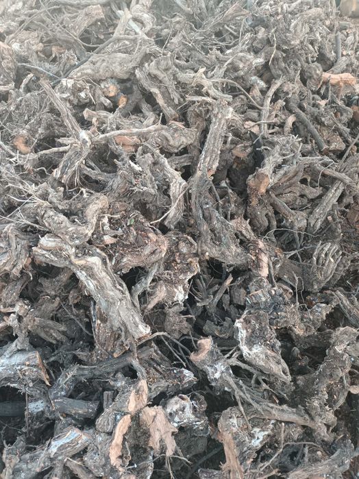 Donez cioate de vita de vie