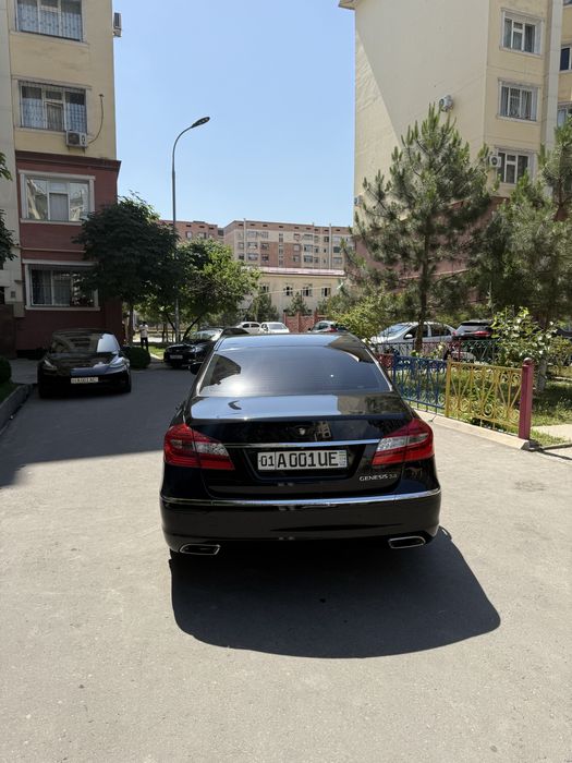 Genesis 3.8 Atmo Mator Luxury Korean Car