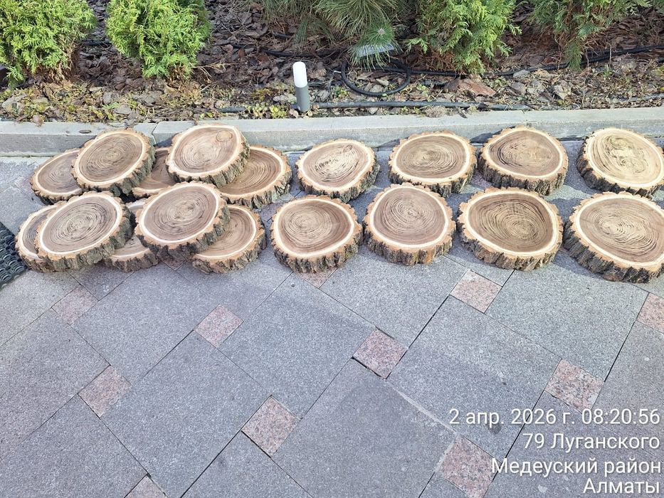Продам спилы карагача