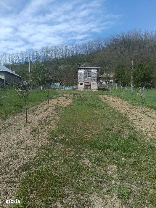 Casa de vacanta