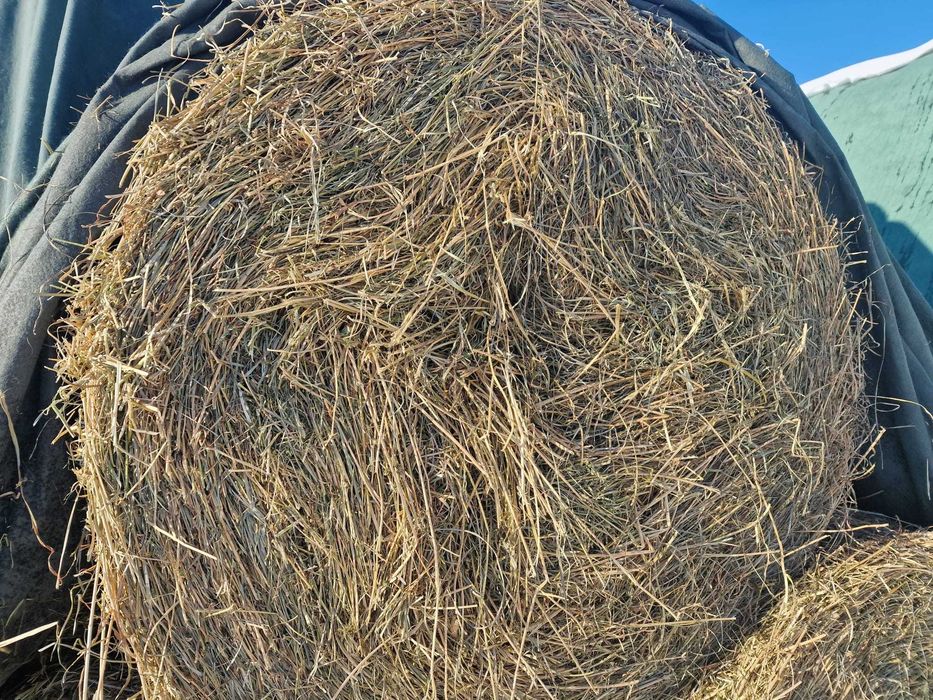 Baloti de lucerna cu fan