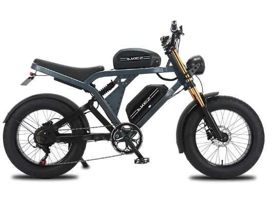 Electric Bike 1500W Rear Motor  20" Fat Tire Lithium Battery 48V 41AH
