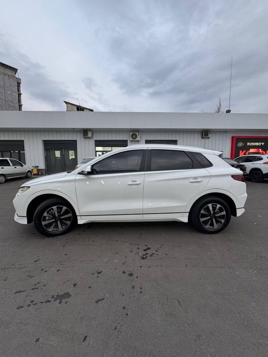 Srochna  BVD  e2 kapot krilo kraska