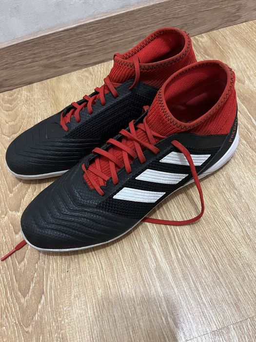 Сороконожки