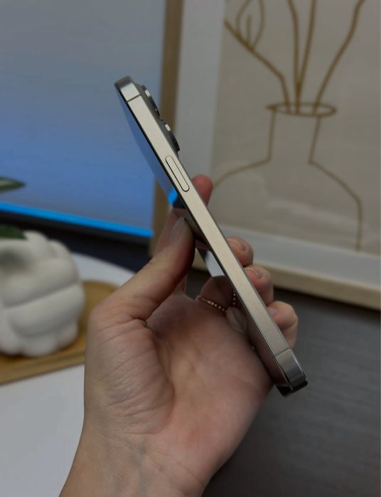 iPhone 15 PRO MAX • 256 GB • 94% Bateria